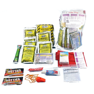 Shelter in Place Essentials (3 days, 1 person in polybag)