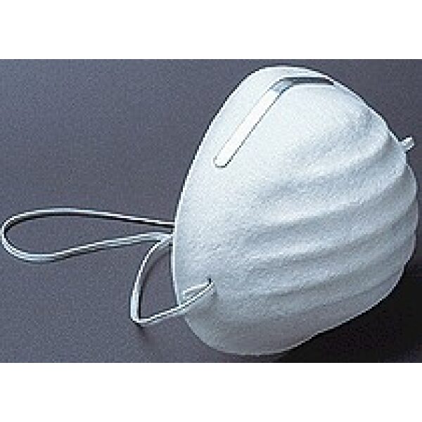 Disposable Dust Mask