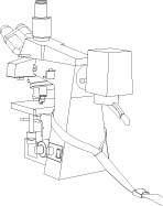 Microscope Restraint System